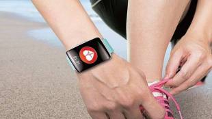 wearables market