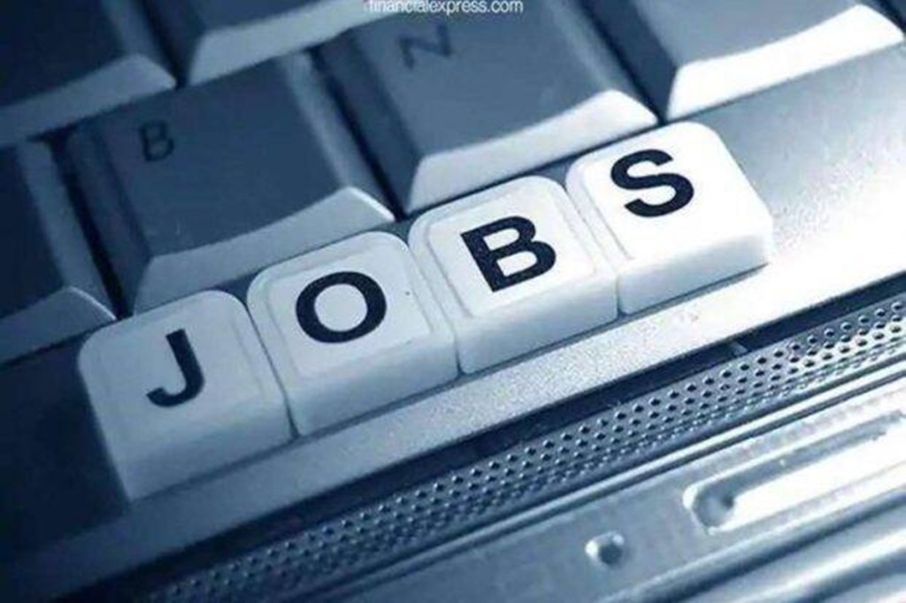 An electronic digital platform and an urban-rural job network would help businesses hire effectively by matching capabilities.