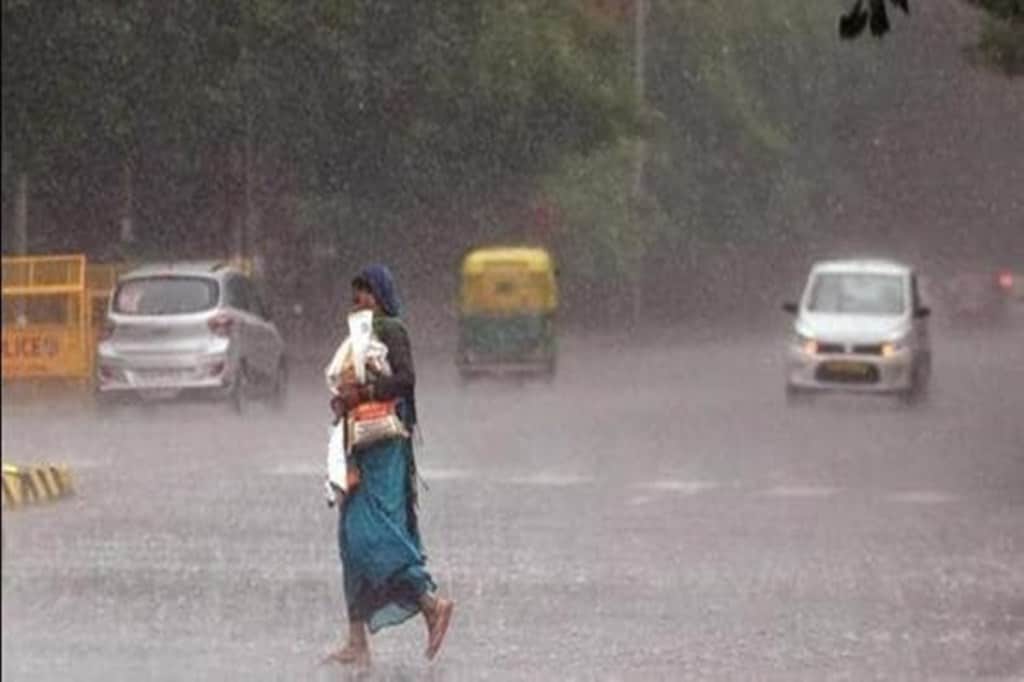 The erratic rainfall this season has also led to a lag in the sowing of Kharif crops in the country. (Representative image)