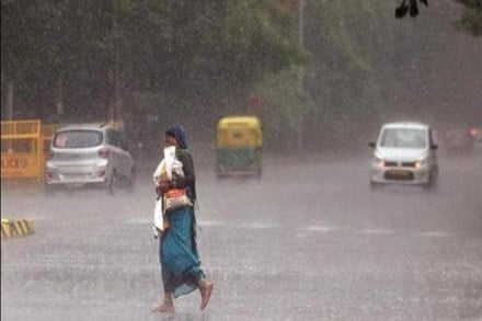 The erratic rainfall this season has also led to a lag in the sowing of Kharif crops in the country. (Representative image)