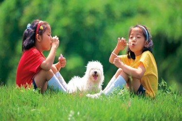 international day of friendship, international day of friendship 2021