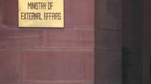 MEA