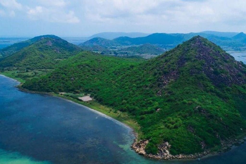 Conservation of forest and nature is turning out as a sustainable treasure for the community. (Twitter: Odisha Tourism)