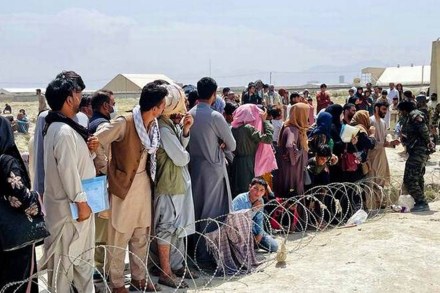 afghans