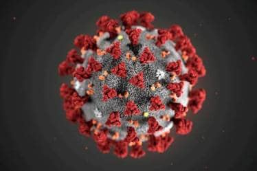 coronavirus covid