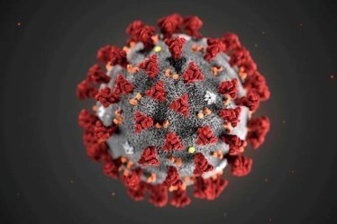 coronavirus infection