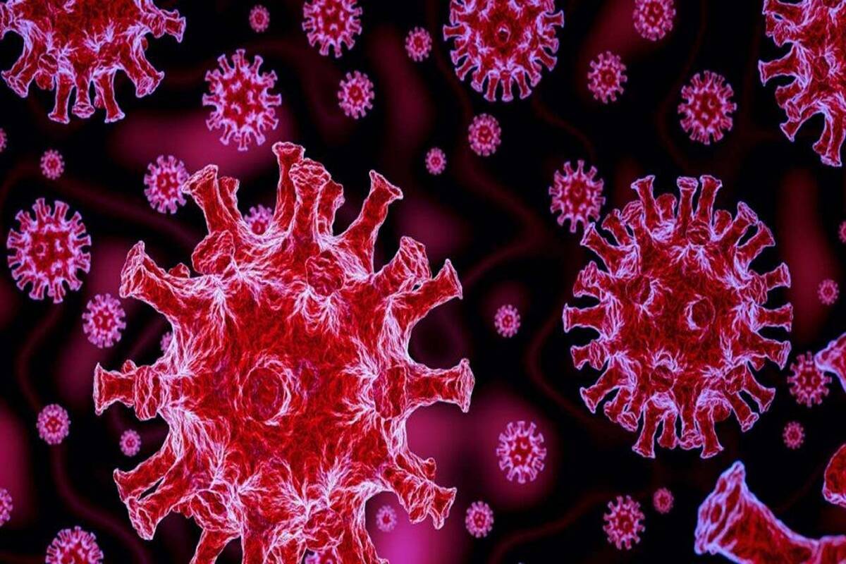 coronavirus delta variant coronavirus delta variant