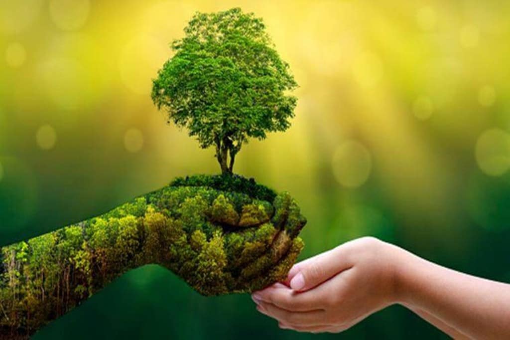 eco friendly