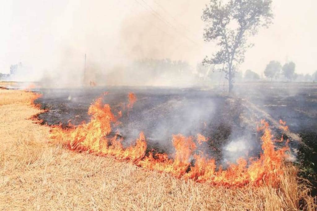 The protocol has been prepared in consultation with stakeholder agencies like State Remote Sensing Centers and Indian Agricultural Research Institute, it said. (Representational image)