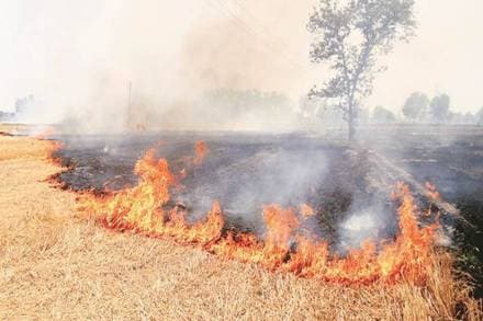 The protocol has been prepared in consultation with stakeholder agencies like State Remote Sensing Centers and Indian Agricultural Research Institute, it said. (Representational image)
