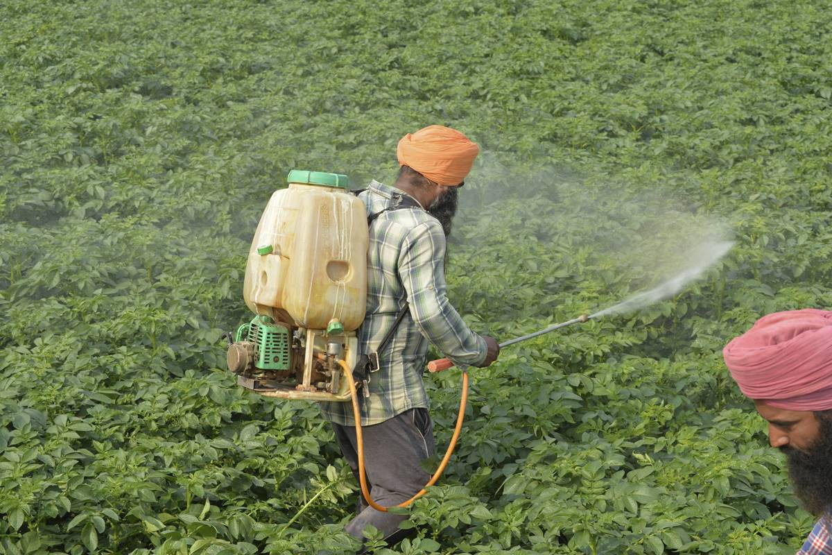 The Centre aims to create a database of eight crore farmers in the next four months after compiling details of 5.5 crore farmers who benefited from central schemes like PM-Kisan, soil health card and PM Fasal Bima Yojana.