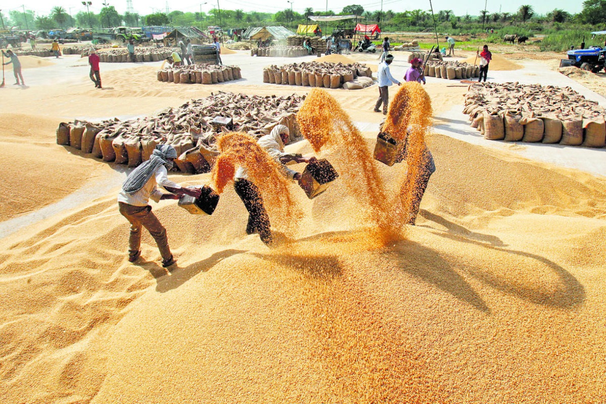 Export of country’s agricultural and allied products in FY21 increased 17.34% to $41.25 billion, y-o-y, and the government is confident of maintaining this growth momentum in the current fiscal as well.