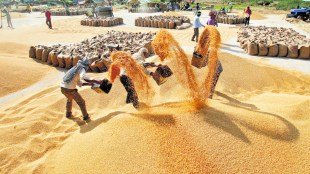 Export of country’s agricultural and allied products in FY21 increased 17.34% to $41.25 billion, y-o-y, and the government is confident of maintaining this growth momentum in the current fiscal as well.