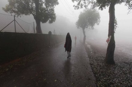 madhya pradesh rains