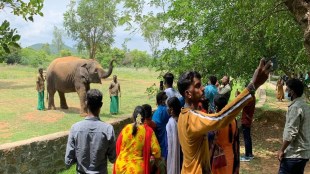 Vandalur zoo tamil nadu