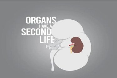 world Organ Donation Day 2021