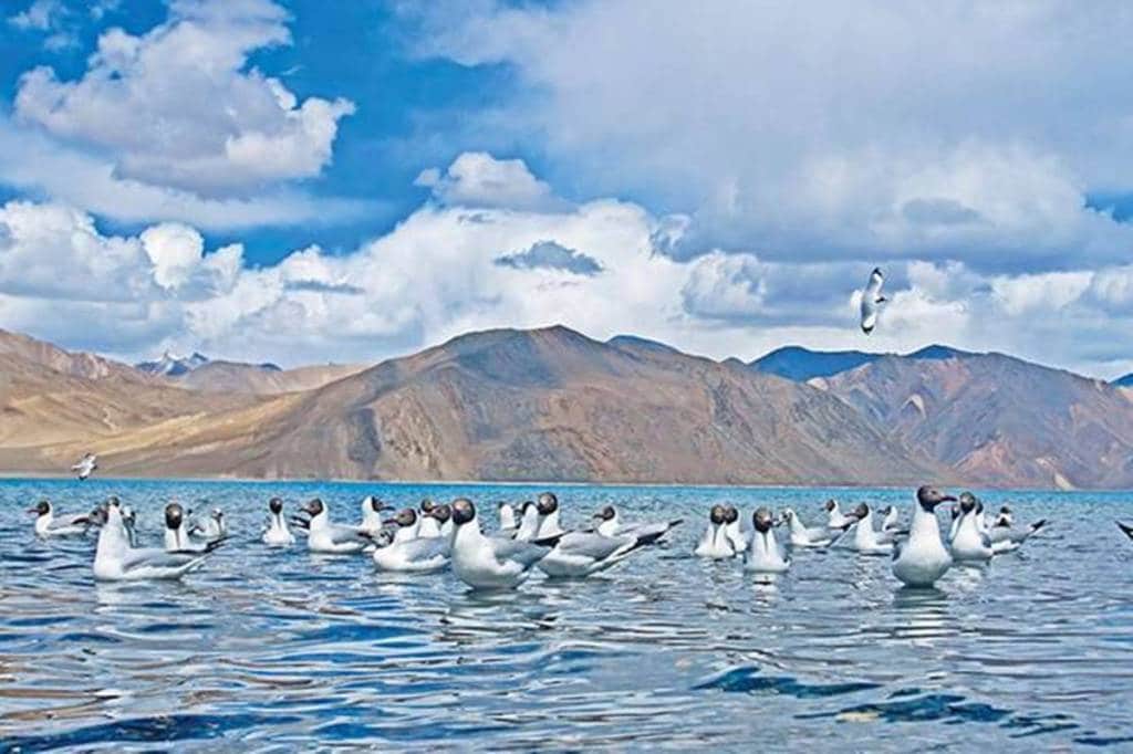 The mega tourism event has been planned to promote Ladakh as a major tourist attraction with special focus on the aspects of adventure, culture and responsible tourism.