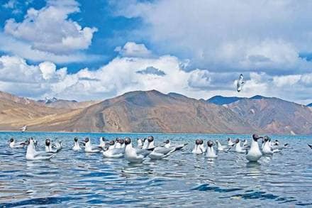 The mega tourism event has been planned to promote Ladakh as a major tourist attraction with special focus on the aspects of adventure, culture and responsible tourism.