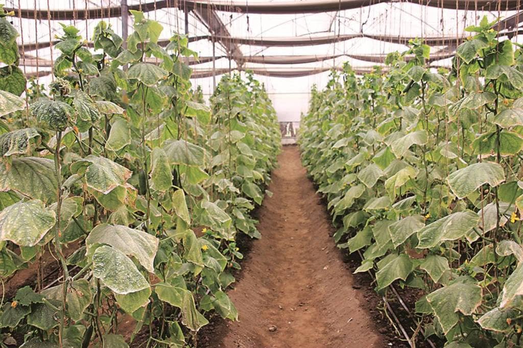 The money raised would be majorly invested in technology and marketing activities and also to scale up operations of the company.