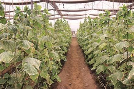 The money raised would be majorly invested in technology and marketing activities and also to scale up operations of the company.