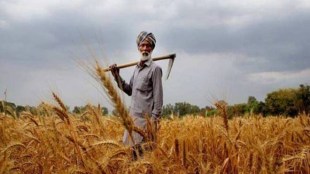 The Centre, in July, had written to states seeking their views on including the ‘Beed formula’ as an option under the PM Fasal Bima Yojana amid several states developing cold feet on the flagship scheme.