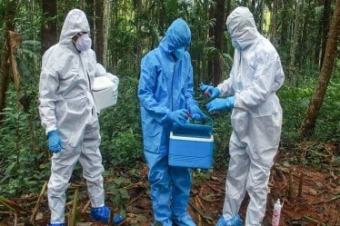 The test, called Truenat, is a point of care real-time PCR platform manufactured by the Goa-based Molbio Diagnostics. It is the first platform to be authorised by the DGCI for Nipah virus testing.