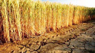 Therefore, often, there is a misunderstanding on the causation as there can be a two-way relationship.