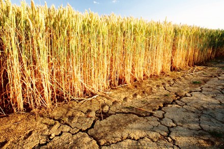 Therefore, often, there is a misunderstanding on the causation as there can be a two-way relationship. Therefore, often, there is a misunderstanding on the causation as there can be a two-way relationship.