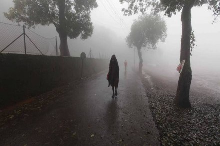 Jabalpur district has received the lowest -44 per cent rainfall, while Singrauli has received the highest +47 per cent showers in east Madhya Pradesh, it was stated.