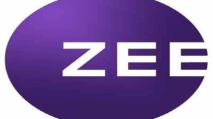 As of June, foreign institutional investors held 57.46% and non-institutional investors 19.93% in ZEEL, and the remaining was owned by mutual funds, insurance companies and others.