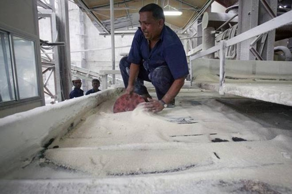 Banks have been wary of funding the sugar mills in the past due to their weak balance sheets, however, now with the addition of rice, maize and other grains, the availability of ethanol would become lot easier, making funding of ethanol capacity building a lot more attractive option, said a senior PSU official. (Representative image/ File photo)