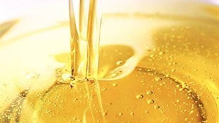 The record crop augurs well for consumers and will go a long way in reducing the dependence on imports, which has reached almost 65% of India’s consumption, he said.