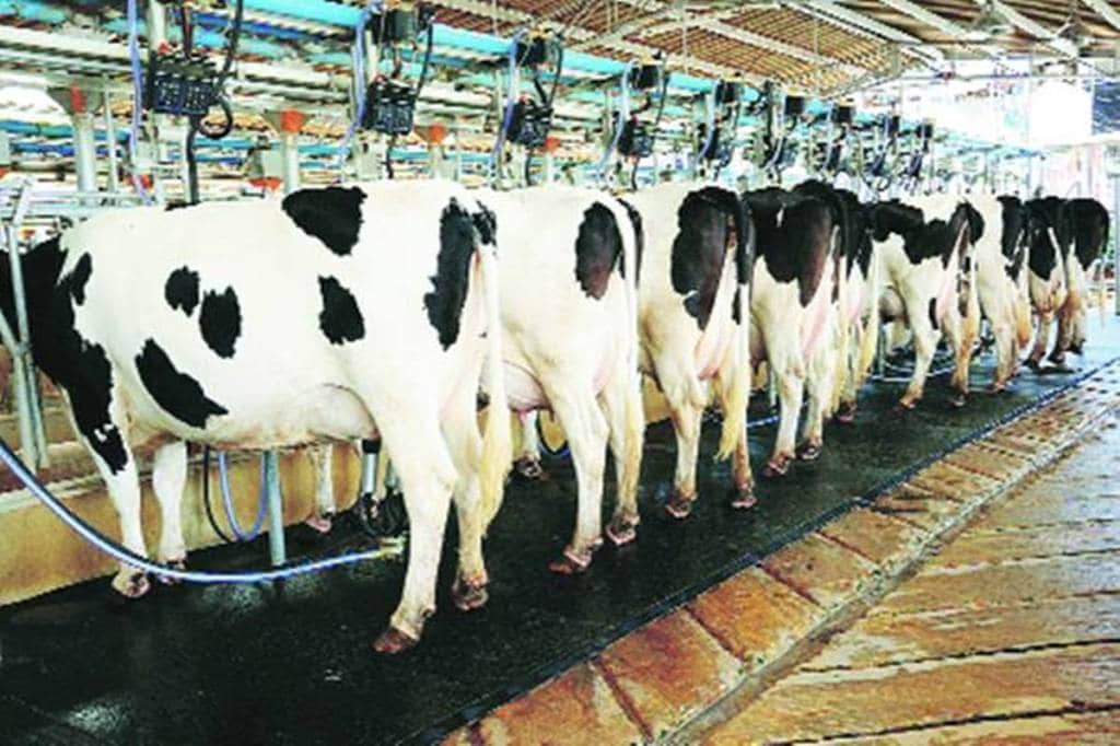 Animal Husbandry