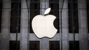 Apple file picture