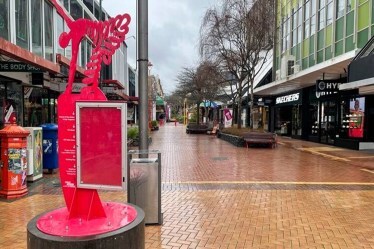 covid new zealand