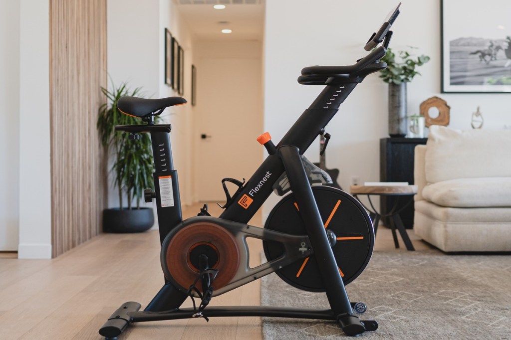 Analysts say, fitness equipment will continue to be bought offline given that these are big-ticket products and touch-and-feel is an important aspect