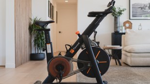 Analysts say, fitness equipment will continue to be bought offline given that these are big-ticket products and touch-and-feel is an important aspect