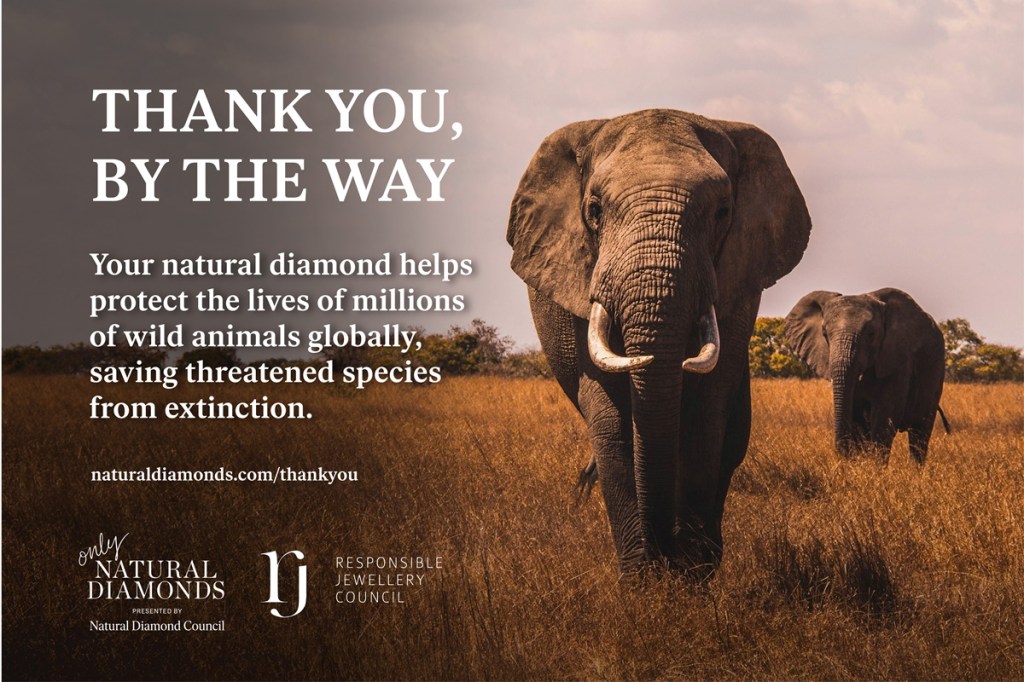 The series of nine creative executions will debut across the NDC’s social media channels this week The series of nine creative executions will debut across the NDC’s social media channels this week