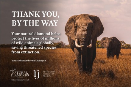 The series of nine creative executions will debut across the NDC’s social media channels this week The series of nine creative executions will debut across the NDC’s social media channels this week