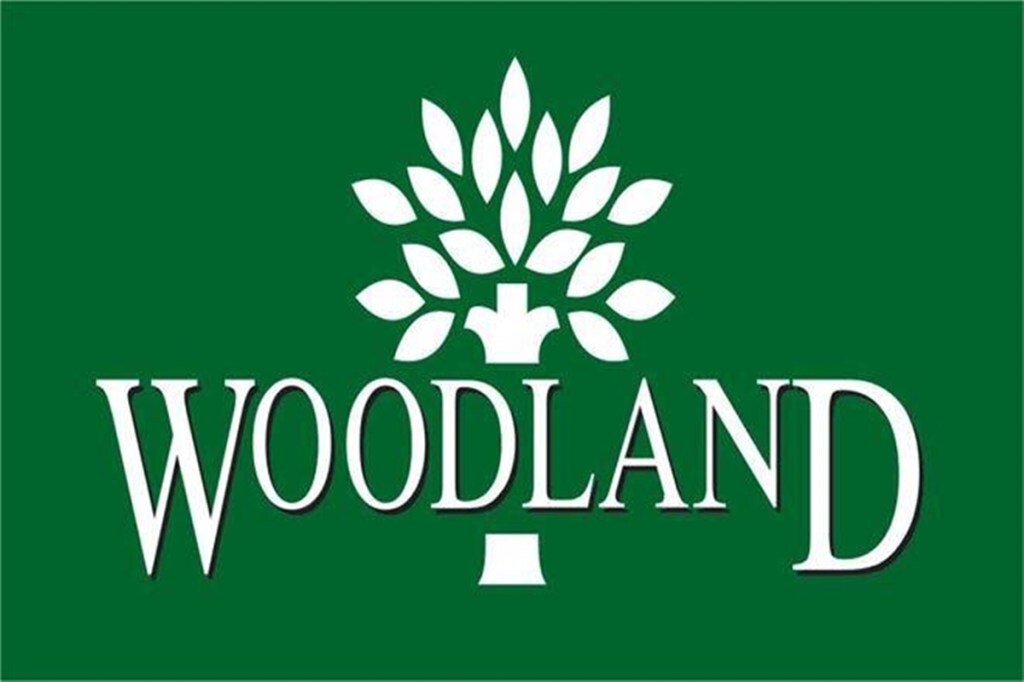 Woodland is also now reviewing its offline retail strategy and is planning to add more stores starting from next year.