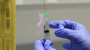 Part of Gritstone's CORAL programme, GRT-R910 is described as a self-amplifying mRNA second generation SARS-CoV-2 vaccine – or SAM for short, which delivers antigens from both the spike and non-spike proteins.