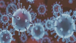 mu variant, covid variant, coronavirus, B.1.621 , shat is Mu variant, transmissibility of Mu variant, vaccine evading nature of Mu variant, WHO, PHE, variant of interest, variant of concern