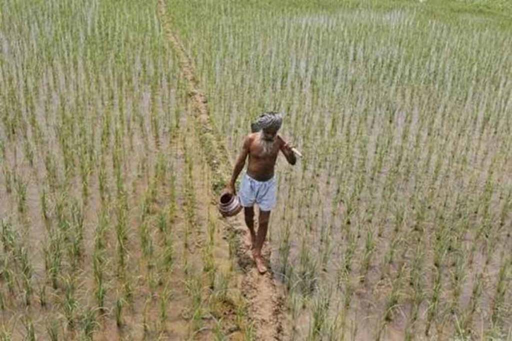 farmers