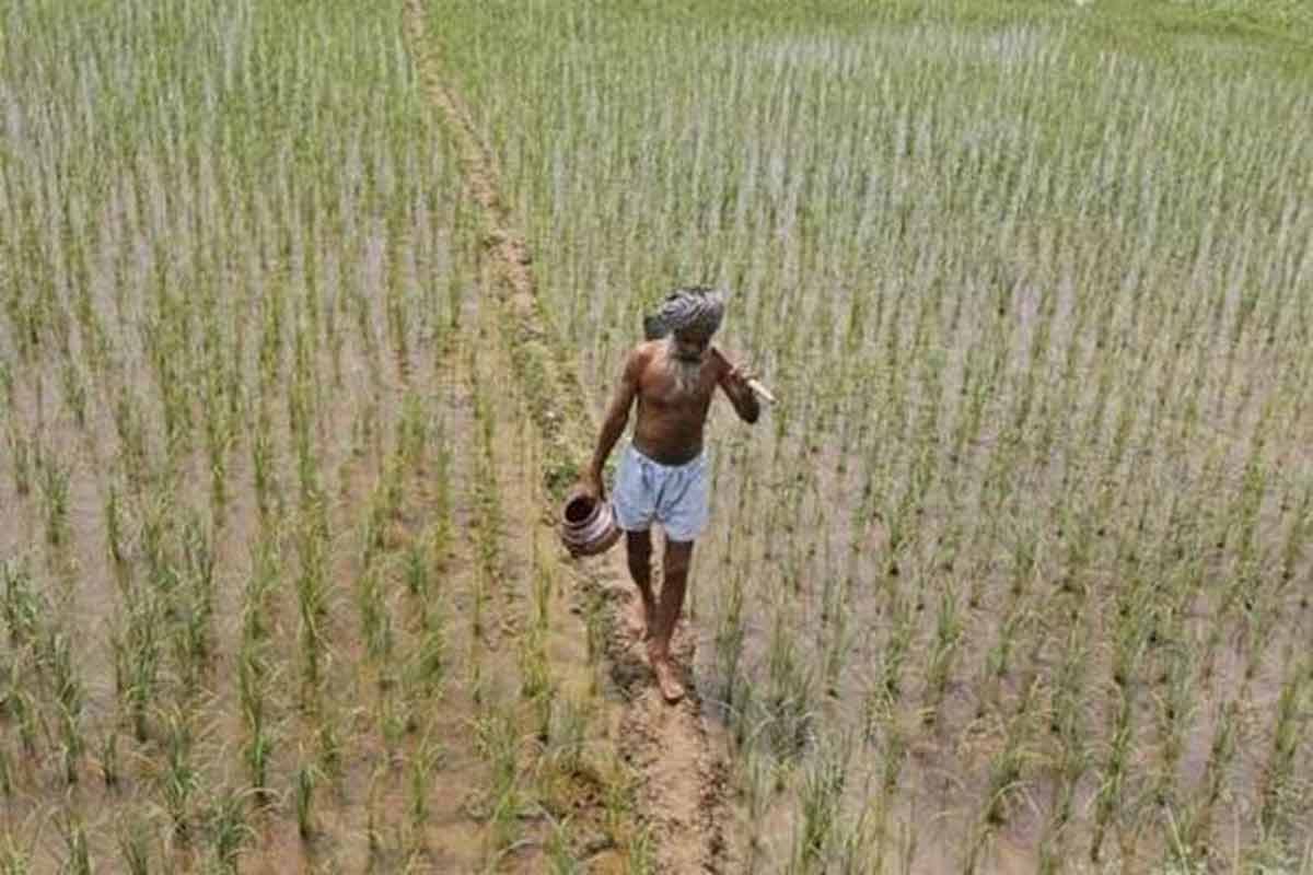 farmers farmers