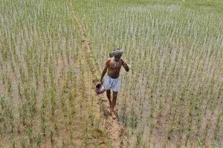 farmers
