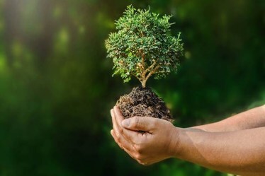World Environmental Health Day 2021