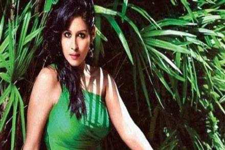 According to the police, Paul allegedly helped Chandrasekhar in duping former Fortis Healthcare promoter Shivinder Mohan Singh's wife Aditi Singh.