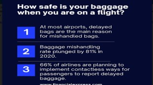 mishandled bags