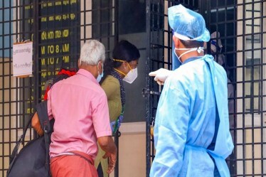 nipah virus