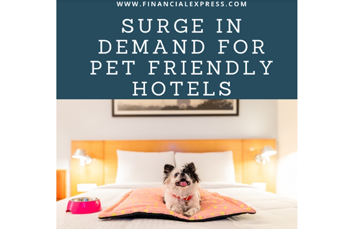 pets in hotels